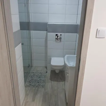 U Tatiany Lägenhet *