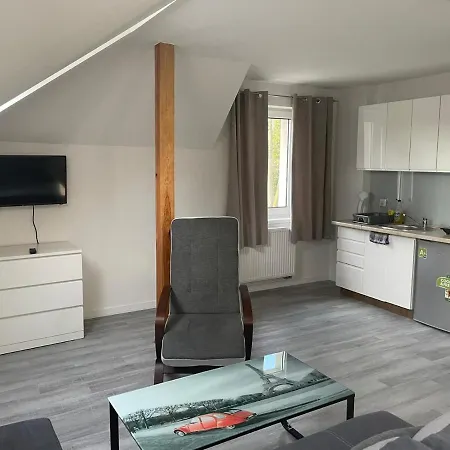 U Tatiany Apartment *
